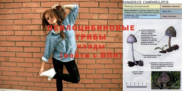 герыч Баксан